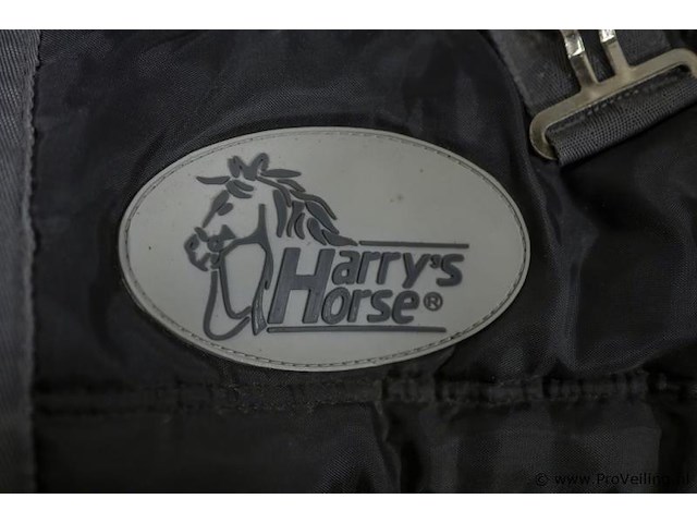 Harry's horse ponydeken - afbeelding 2 van  2