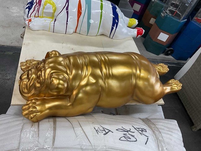 Harsbeeld va een liggende engelse buldog 90cm - afbeelding 3 van  3