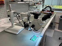 Hayear sm-4tp stereo microscoop