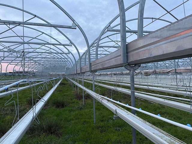 Haygrove multibay 11.856m2 kwekerij, folie-tunnel kas - afbeelding 1 van  56