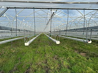 Haygrove multibay 11.856m2 kwekerij, folie-tunnel kas - afbeelding 43 van  56