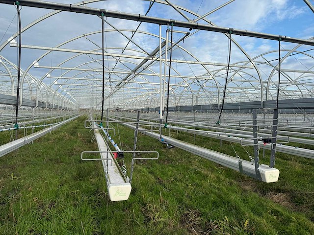 Haygrove multibay 11.856m2 kwekerij, folie-tunnel kas - afbeelding 3 van  56