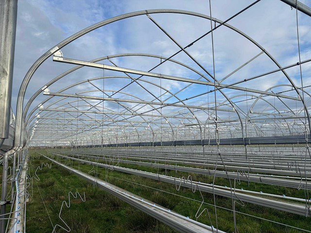 Haygrove multibay 11.856m2 kwekerij, folie-tunnel kas - afbeelding 4 van  56