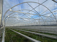 Haygrove multibay 11.856m2 kwekerij, folie-tunnel kas - afbeelding 4 van  56