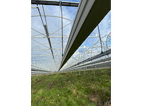 Haygrove multibay 11.856m2 kwekerij, folie-tunnel kas - afbeelding 6 van  56