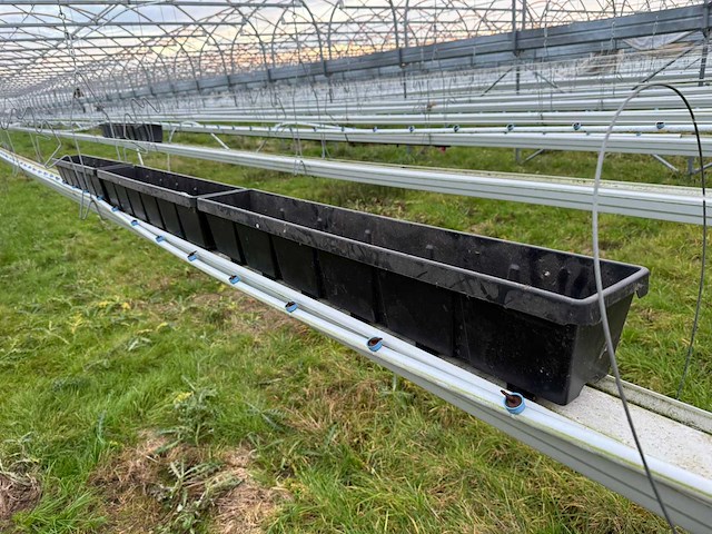 Haygrove multibay 11.856m2 kwekerij, folie-tunnel kas - afbeelding 45 van  56