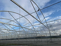 Haygrove multibay 11.856m2 kwekerij, folie-tunnel kas - afbeelding 13 van  56