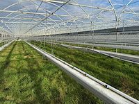 Haygrove multibay 11.856m2 kwekerij, folie-tunnel kas - afbeelding 15 van  56