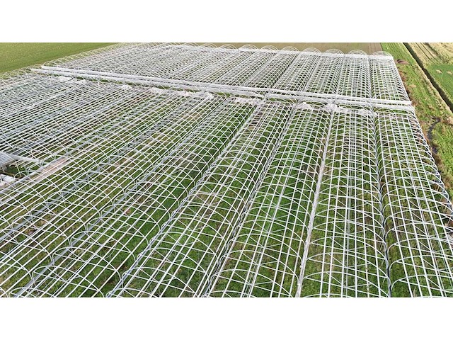 Haygrove multibay 11.856m2 kwekerij, folie-tunnel kas - afbeelding 8 van  56