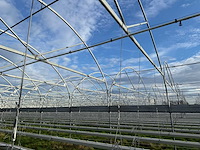 Haygrove multibay 11.856m2 kwekerij, folie-tunnel kas - afbeelding 48 van  56