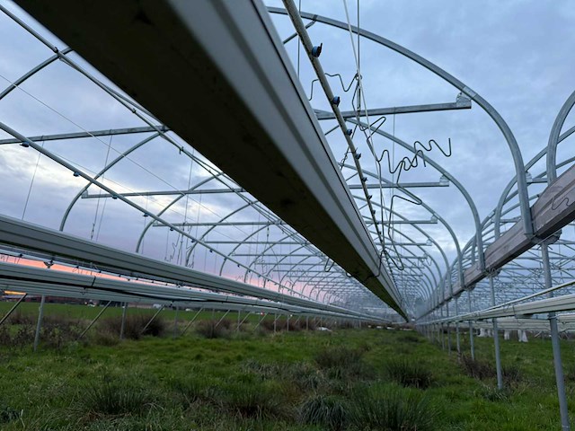Haygrove multibay 11.856m2 kwekerij, folie-tunnel kas - afbeelding 19 van  56