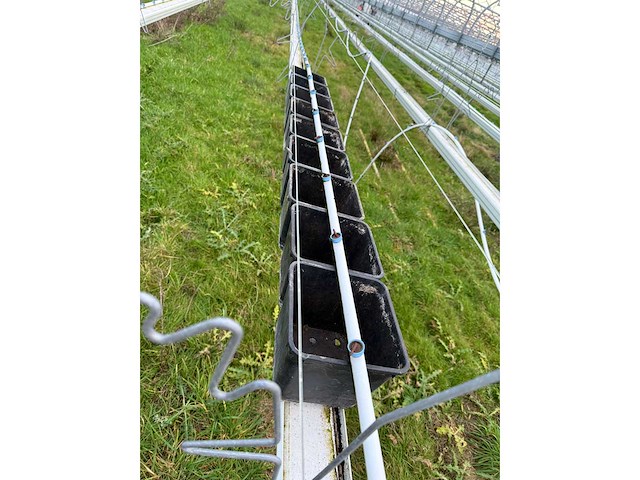 Haygrove multibay 11.856m2 kwekerij, folie-tunnel kas - afbeelding 23 van  56