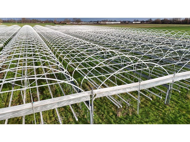 Haygrove multibay 11.856m2 kwekerij, folie-tunnel kas - afbeelding 17 van  56