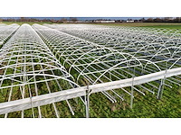 Haygrove multibay 11.856m2 kwekerij, folie-tunnel kas - afbeelding 17 van  56