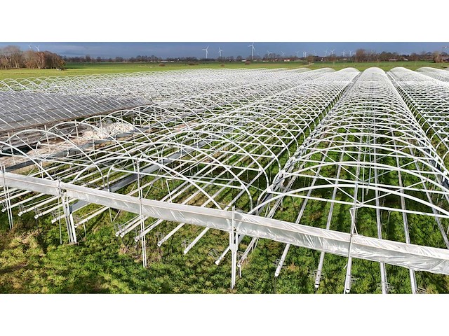 Haygrove multibay 11.856m2 kwekerij, folie-tunnel kas - afbeelding 26 van  56
