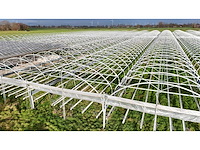 Haygrove multibay 11.856m2 kwekerij, folie-tunnel kas - afbeelding 26 van  56