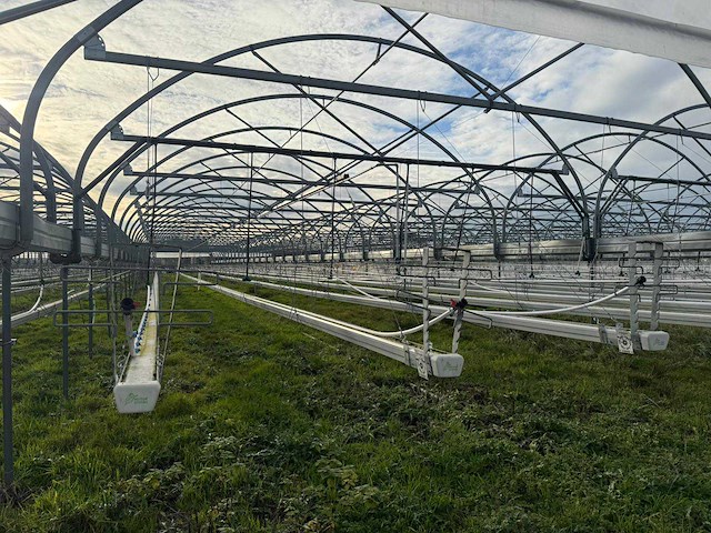Haygrove multibay 11.856m2 kwekerij, folie-tunnel kas - afbeelding 41 van  56