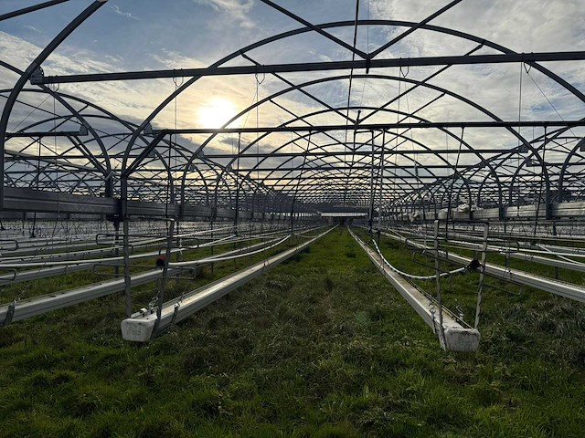 Haygrove multibay 11.856m2 kwekerij, folie-tunnel kas - afbeelding 42 van  56