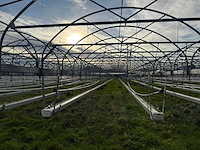 Haygrove multibay 11.856m2 kwekerij, folie-tunnel kas - afbeelding 42 van  56