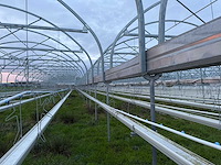 Haygrove multibay 11.856m2 kwekerij, folie-tunnel kas - afbeelding 10 van  53