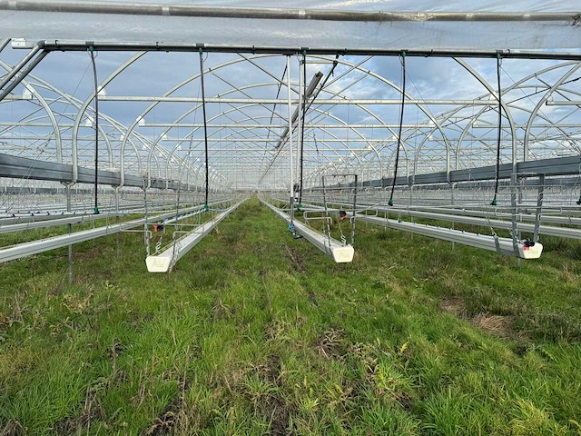 Haygrove multibay 11.856m2 kwekerij, folie-tunnel kas - afbeelding 12 van  53
