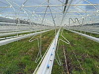 Haygrove multibay 11.856m2 kwekerij, folie-tunnel kas - afbeelding 17 van  53