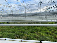 Haygrove multibay 11.856m2 kwekerij, folie-tunnel kas - afbeelding 20 van  53