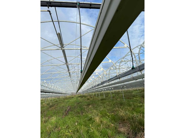 Haygrove multibay 11.856m2 kwekerij, folie-tunnel kas - afbeelding 21 van  53