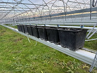 Haygrove multibay 11.856m2 kwekerij, folie-tunnel kas - afbeelding 22 van  53