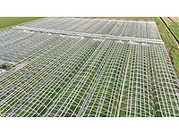 Haygrove multibay 11.856m2 kwekerij, folie-tunnel kas - afbeelding 2 van  53
