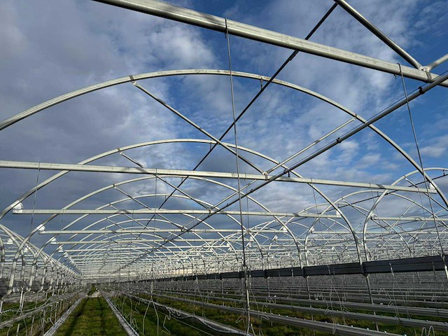 Haygrove multibay 11.856m2 kwekerij, folie-tunnel kas - afbeelding 30 van  53