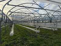Haygrove multibay 11.856m2 kwekerij, folie-tunnel kas - afbeelding 7 van  53