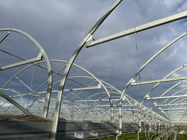 Haygrove multibay 11.856m2 kwekerij, folie-tunnel kas - afbeelding 9 van  53