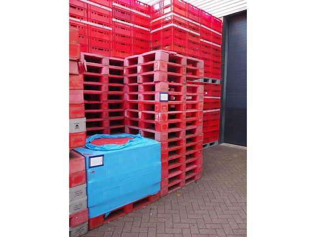 Hays - afbeelding 7 van  8