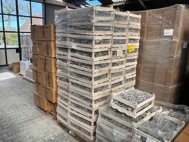 Hbx kistje decoratief bonsai hout (55x) - afbeelding 5 van  5
