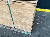 Hdf deurplaat (520x) - afbeelding 6 van  6