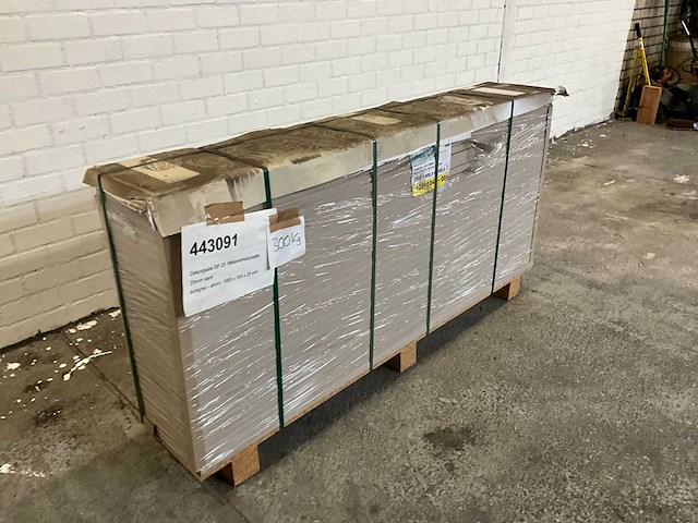 Heckewerth dp 25 melaminehars plaat (32x) - afbeelding 4 van  6