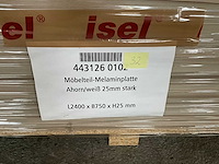 Heckewerth dp 25 melaminehars plaat (32x) - afbeelding 6 van  6