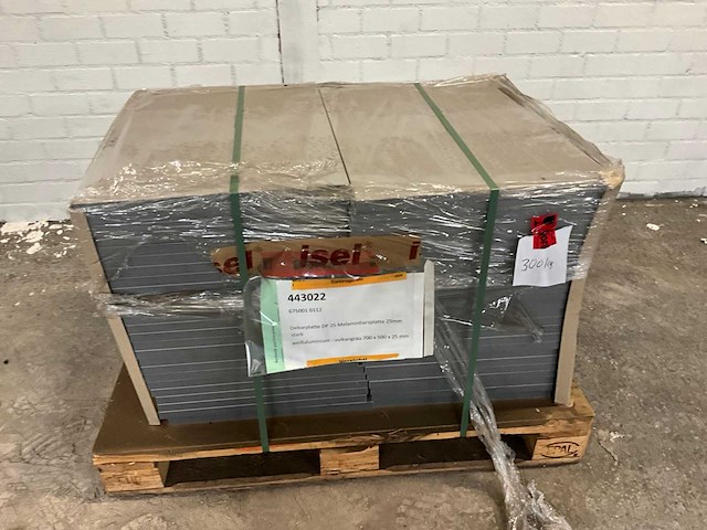 Heckewerth dp 25 melaminehars plaat (50x) - afbeelding 3 van  6
