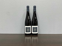 Hees riesling trocken 2022 (2x) - afbeelding 1 van  3