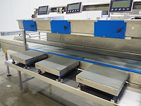 Henk maas scales - afbeelding 14 van  16