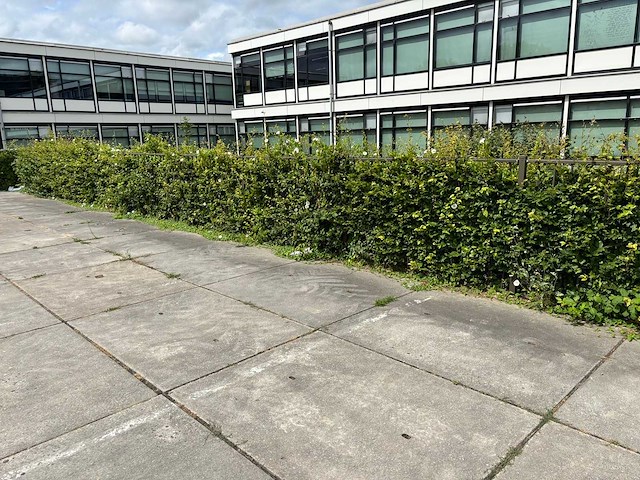 Heras - hekwerk (20 meter) - afbeelding 1 van  4