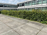 Heras - hekwerk (20 meter) - afbeelding 1 van  4