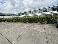 Heras - hekwerk (20 meter) - afbeelding 3 van  4