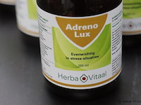 Herba vitaal adreno lux - 10 flessen á 250ml - afbeelding 2 van  4