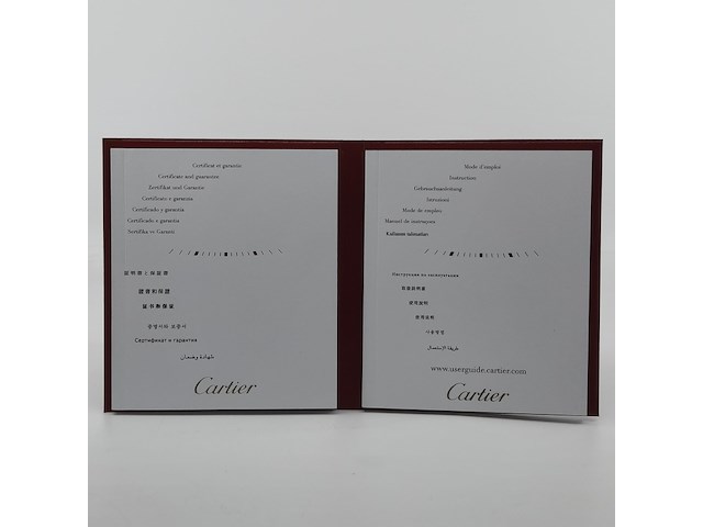 Heren polshorloge, cartier, santos 100, 2656 - afbeelding 29 van  32