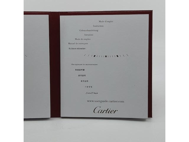 Heren polshorloge, cartier, santos 100, 2656 - afbeelding 31 van  32