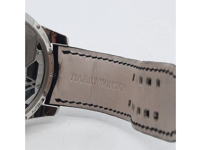 Heren polshorloge, harry winston, histoire de tourbillon no 8 [4/10], 2017 - afbeelding 10 van  31