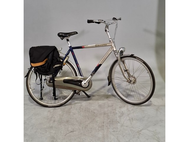 Herenfiets, gazelle, chamonix - afbeelding 1 van  32