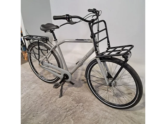Herenfiets, gazelle, heavy duty - afbeelding 12 van  18